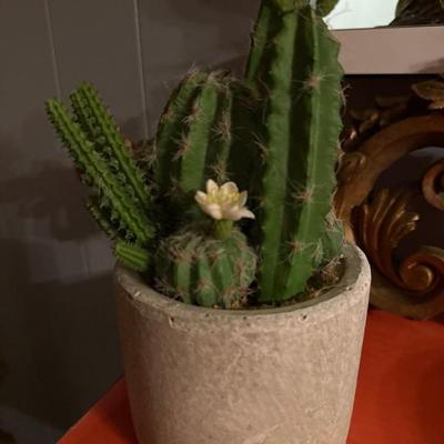 Sale Photo Thumbnail #324