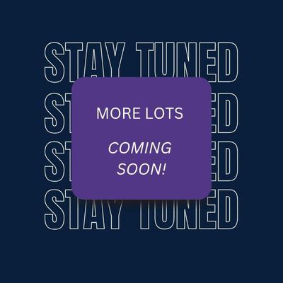 Sale Photo Thumbnail #313