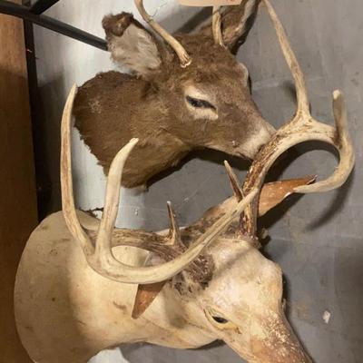 Sale Photo Thumbnail #244