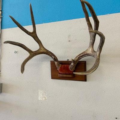 Sale Photo Thumbnail #44