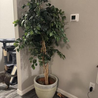 Sale Photo Thumbnail #3