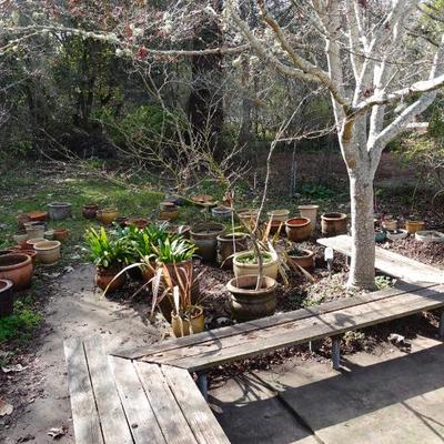 Sale Photo Thumbnail #13