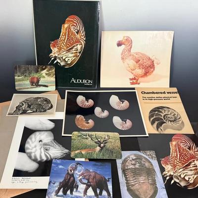 Color Photos Of Chambered Nautilus, Audubon Magazine w/ Posters, Cards, Dodo Bird, Etc.