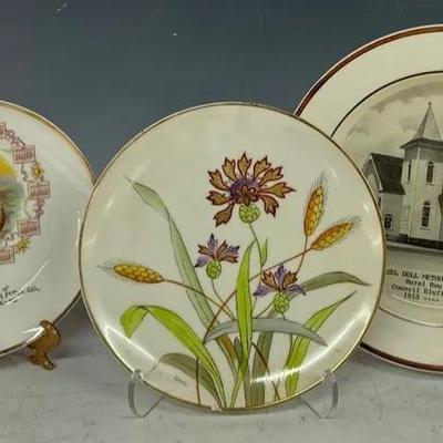 Ziegler & Co Hand Painted China Plate W/ Two Vintage Souvenir Plates