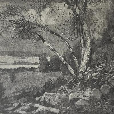 Print from Landscape Engraving after Eldridge Kingsley, 1893