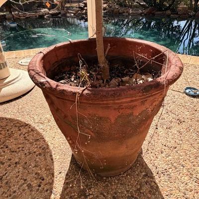 Sale Photo Thumbnail #25