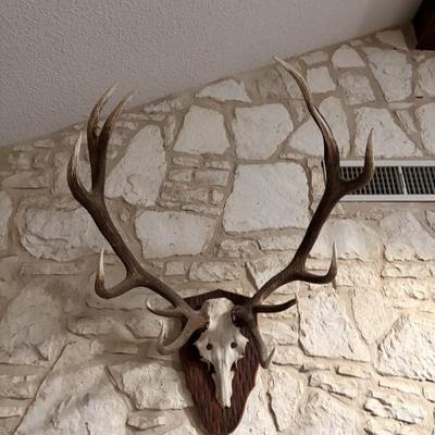 Sale Photo Thumbnail #2