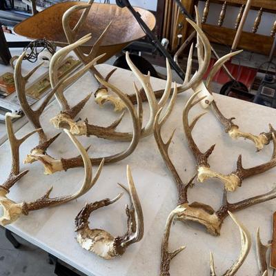 Sale Photo Thumbnail #140