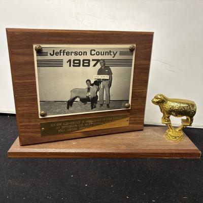 Sale Photo Thumbnail #9