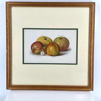 Sale Photo Thumbnail #241