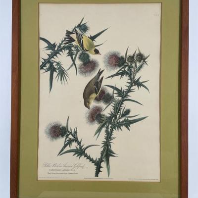 Sale Photo Thumbnail #243