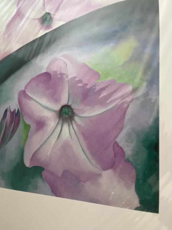 Sale Photo Thumbnail #17