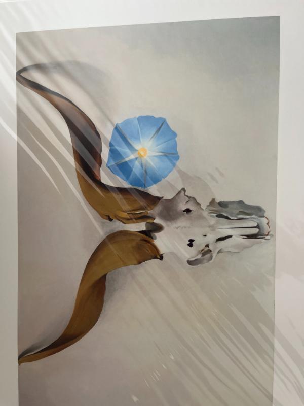 Sale Photo Thumbnail #34