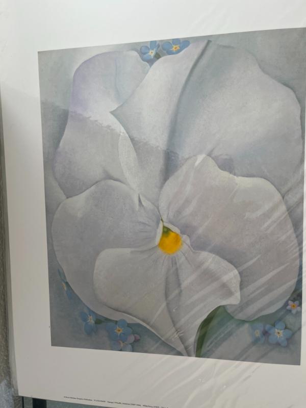 Sale Photo Thumbnail #20