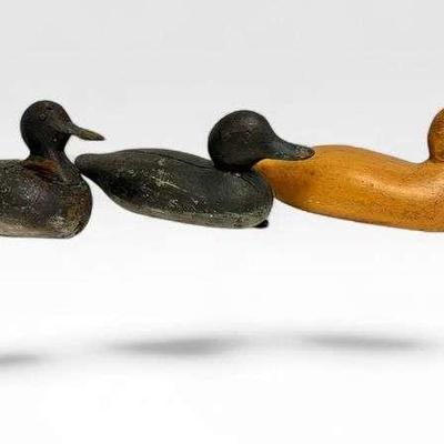 Sale Photo Thumbnail #20