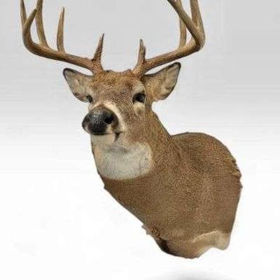 Sale Photo Thumbnail #112