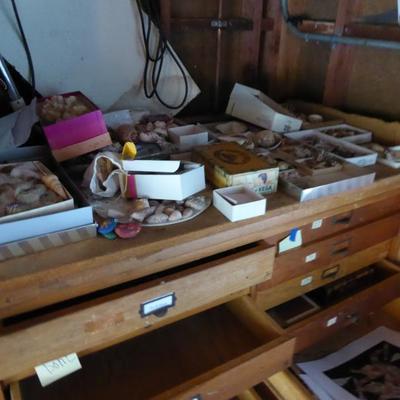 Sale Photo Thumbnail #54