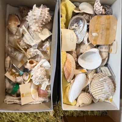 Sale Photo Thumbnail #174