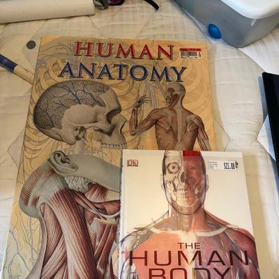 Human Anatomy Oversized Reference Book & DK Human Body Book Set