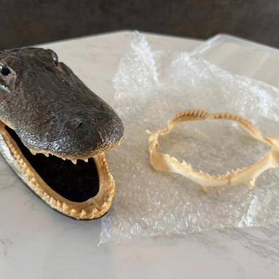 Real Alligator Head & Small Shark Jaw Display Lot
