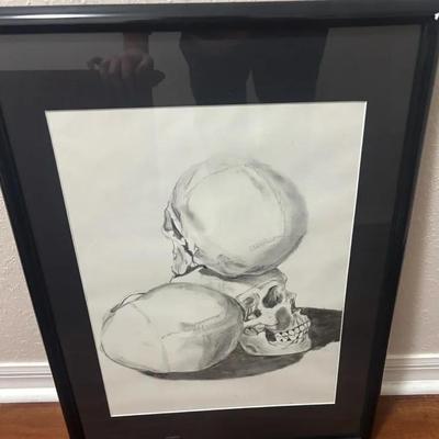 Framed Anatomical Skull Study Charcoal Drawing