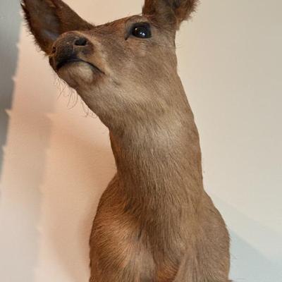 Sale Photo Thumbnail #232