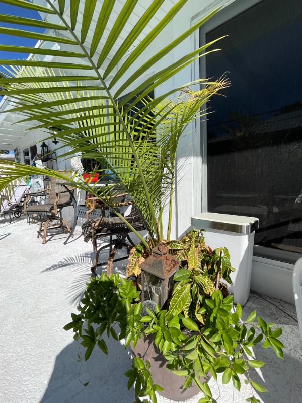 Sale Photo Thumbnail #27