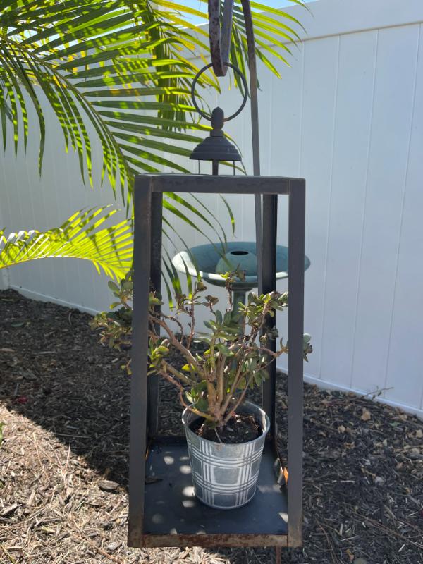 Sale Photo Thumbnail #37