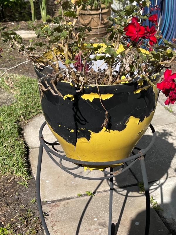 Sale Photo Thumbnail #32