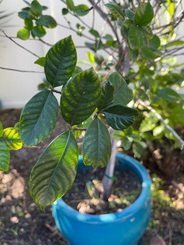 Sale Photo Thumbnail #30