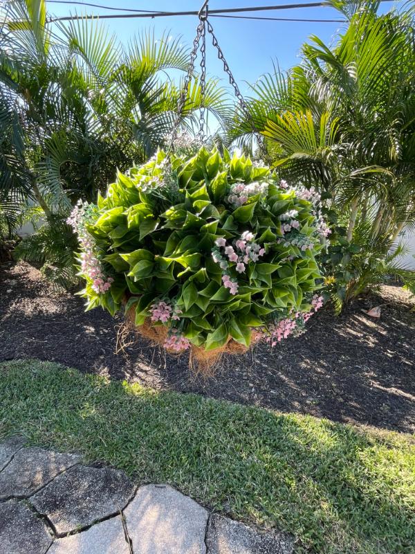 Sale Photo Thumbnail #34