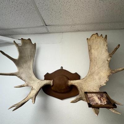 Sale Photo Thumbnail #162