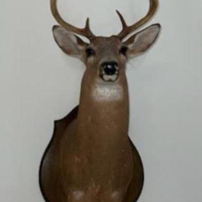 Sale Photo Thumbnail #181: Unnamed 6)