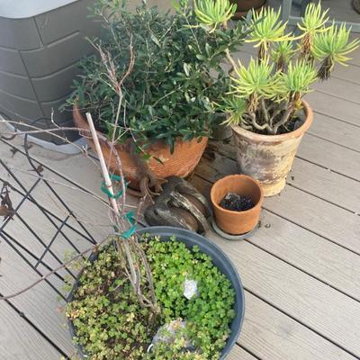 Sale Photo Thumbnail #36