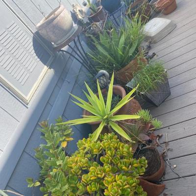 Sale Photo Thumbnail #40