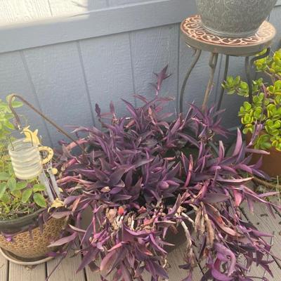 Sale Photo Thumbnail #39