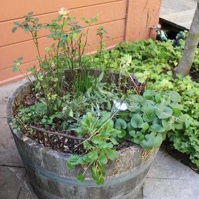 Sale Photo Thumbnail #117