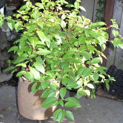 Sale Photo Thumbnail #123