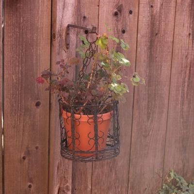 Sale Photo Thumbnail #121