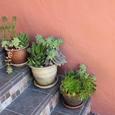 Sale Photo Thumbnail #124