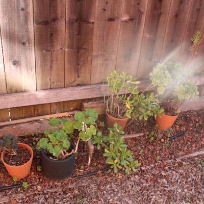 Sale Photo Thumbnail #120