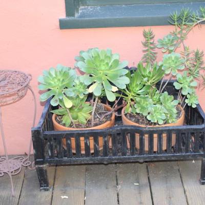 Sale Photo Thumbnail #116