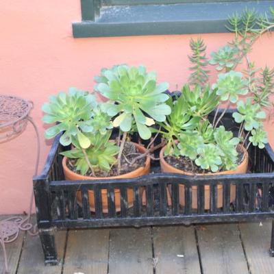 Sale Photo Thumbnail #115