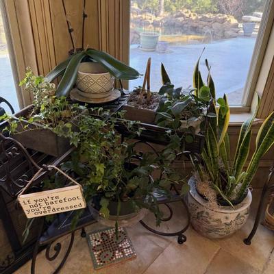 Sale Photo Thumbnail #73