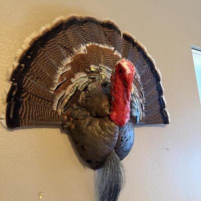 Sale Photo Thumbnail #117