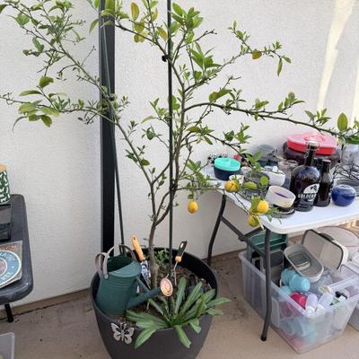 Sale Photo Thumbnail #42