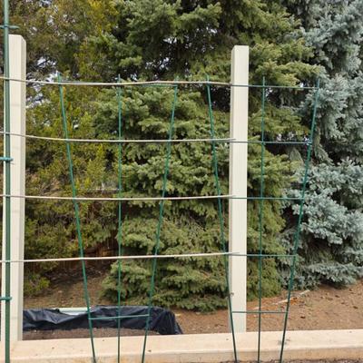 Sale Photo Thumbnail #63