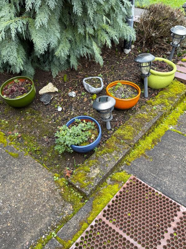 Sale Photo Thumbnail #40