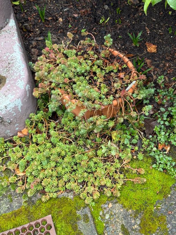 Sale Photo Thumbnail #41