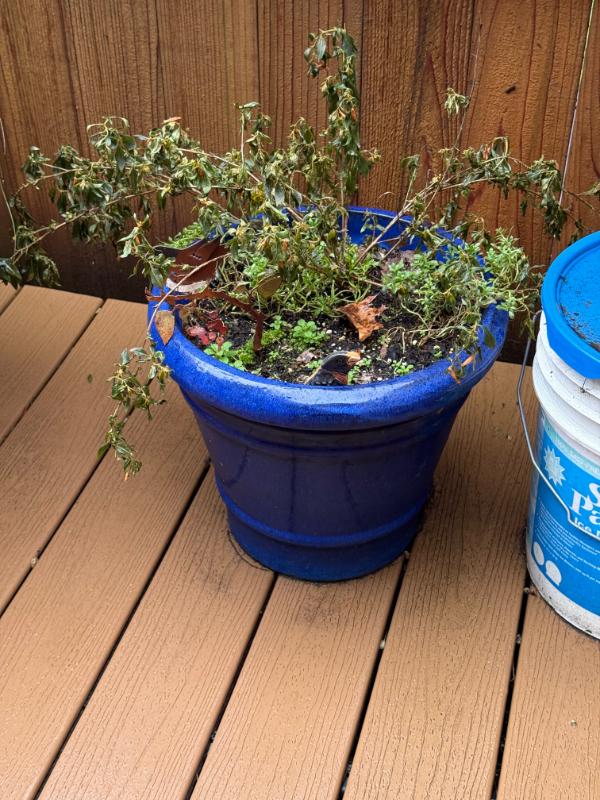 Sale Photo Thumbnail #42